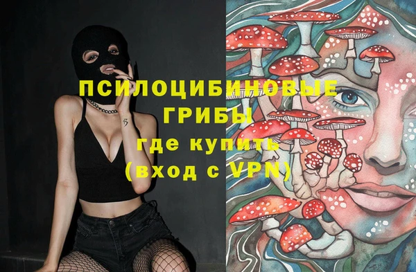 стаф Лабытнанги
