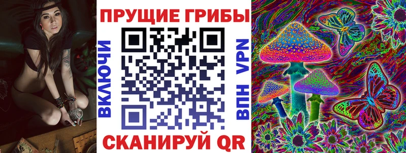 Купить где Нюрба Псилоцибиновые грибы MAGIC MUSHROOMS