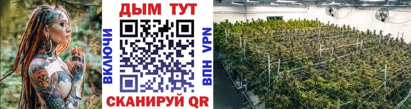 Купить Нюрба Марихуана VHQ